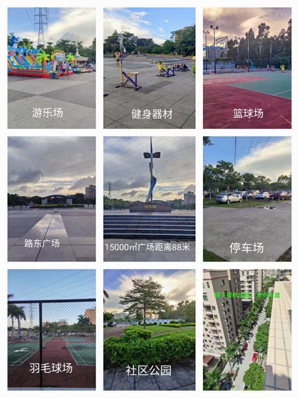 沙井15分钟【滨海公园里】虎门路东3580一平起(图10)